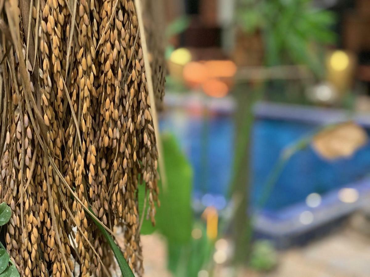 Petit Villa Boutique & Spa Siem Reap Eksteriør bilde