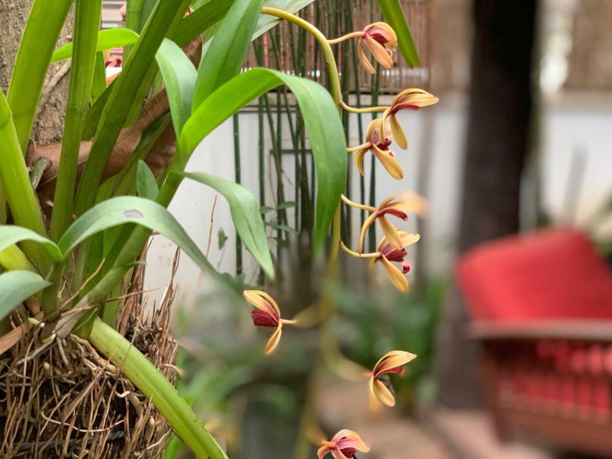Petit Villa Boutique & Spa Siem Reap Eksteriør bilde
